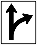 R3 series Lane usage and turns-Optional movement lane control, straight through and right turn