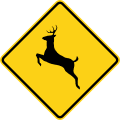W11 series Advance warnings-Deer